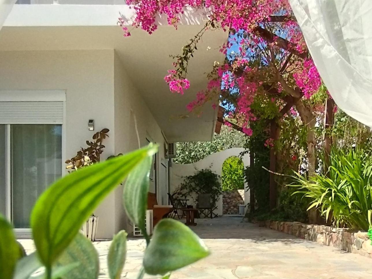 Ferienwohnung Marilen Livadia  Exterior foto